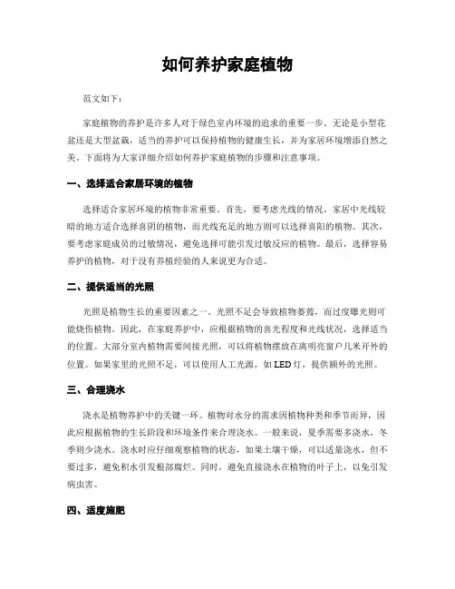 如何养护家庭植物