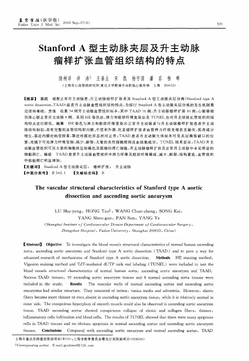 Stanford A型主动脉夹层及升主动脉瘤样扩张血管组织结构的特点