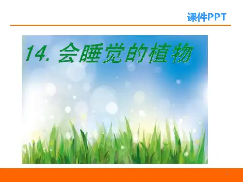 一年级语文14会睡觉的植物-精品系列PPT课件
