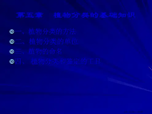 植物分类的基础知识