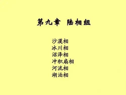 17-冲积扇相n