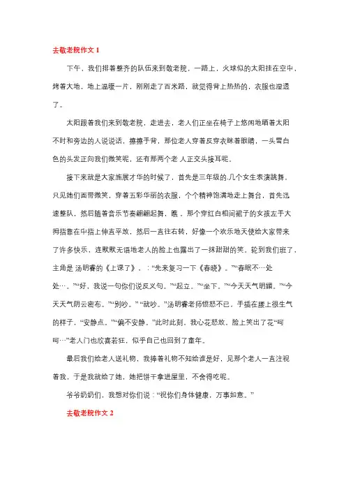 参加敬老院的活动作文450
