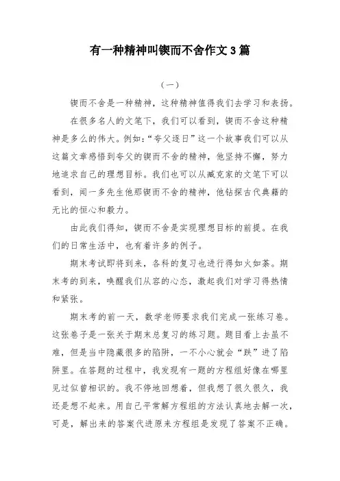 有一种精神叫锲而不舍800字600-800字作文