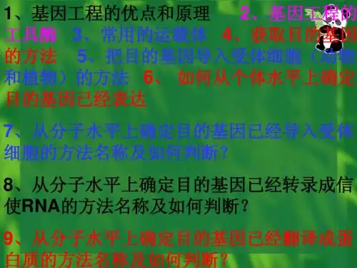 生物：1.4《蛋白质工程的崛起》课件(新人教版选修3)