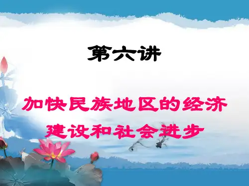 第六讲 加快民族地区的经济建设和社会进步