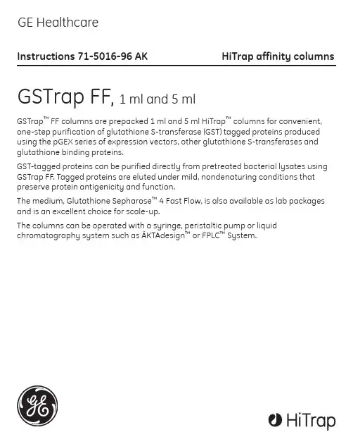 GST 柱纯化  GSTrap FF