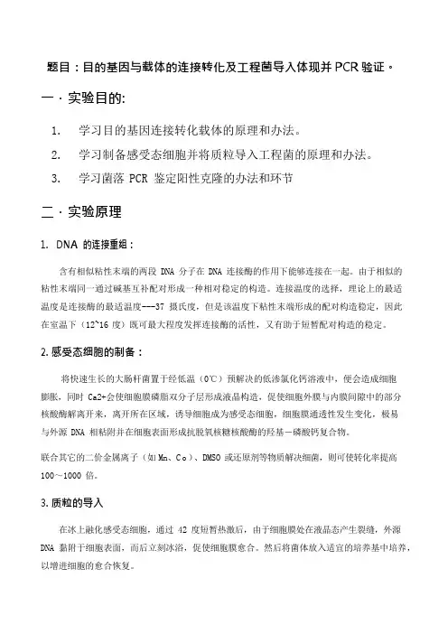 实验报告目的基因与载体的连接转化及工程菌导入表达并PCR验证