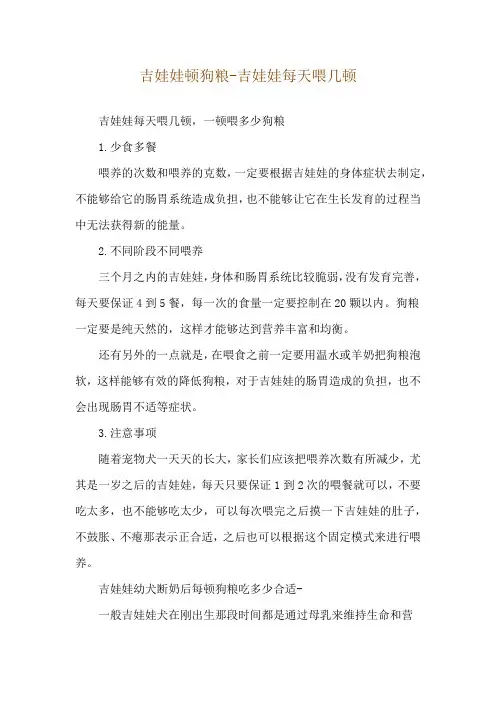 吉娃娃顿狗粮-吉娃娃每天喂几顿
