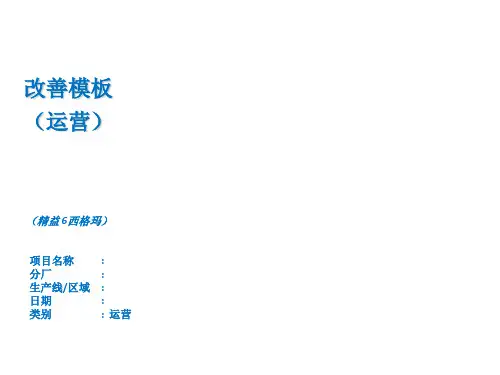精益项目报告模板