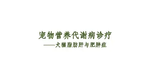 宠物营养代谢病——犬猫脂肪肝与肥胖症