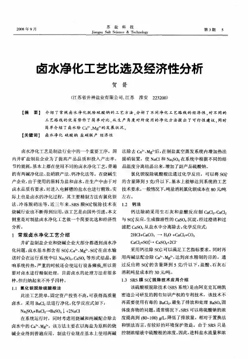 卤水净化工艺比选及经济性分析