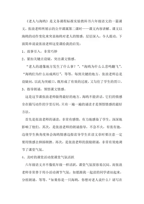 老人与海鸥评课稿