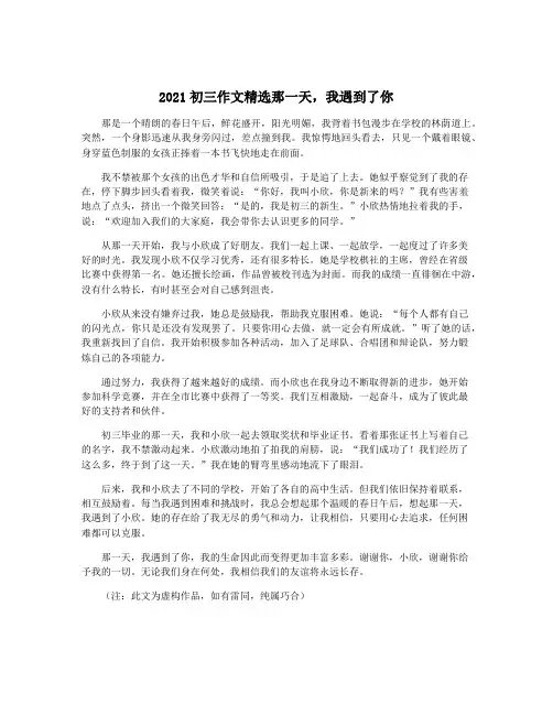 2021初三作文精选那一天,我遇到了你