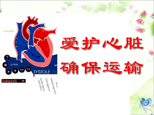 九年级生物课件 心脏和血液循环复习