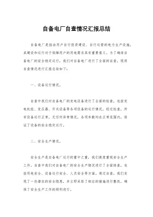自备电厂自查情况汇报总结