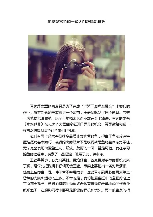 拍摄观赏鱼的一些入门级摄影技巧