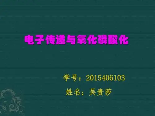 电子传递与氧化磷酸化