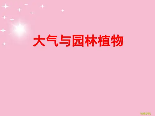 大气与园林植物ppt课件
