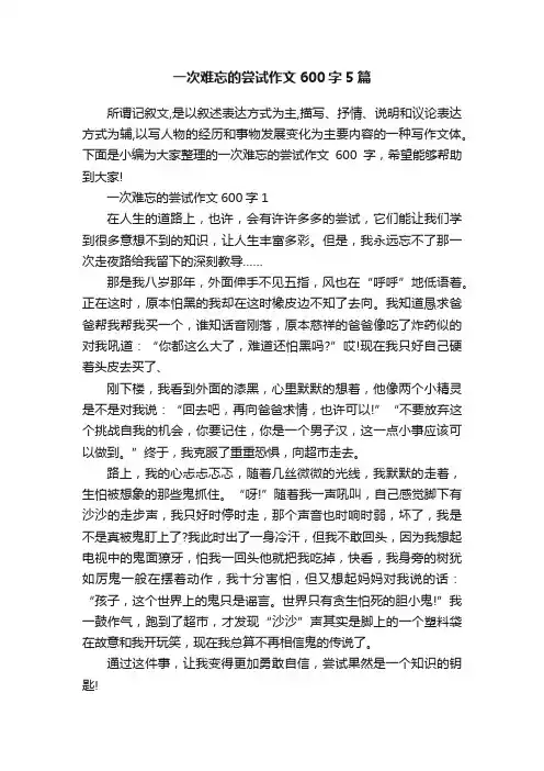 一次难忘的尝试作文600字5篇