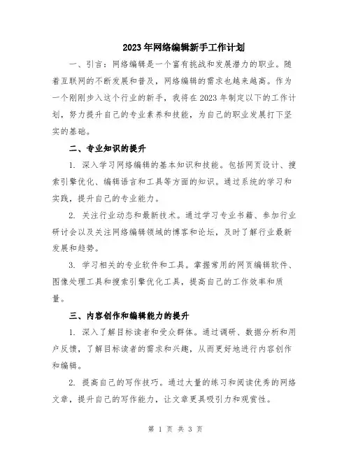 2023年网络编辑新手工作计划