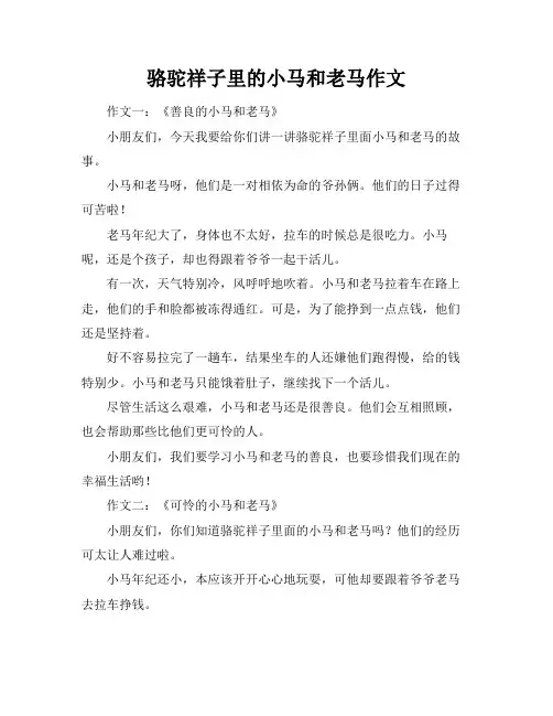 骆驼祥子里的小马和老马作文