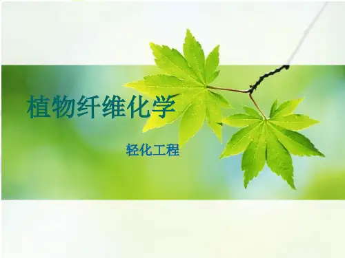 叙述纤维素的分子结构特征