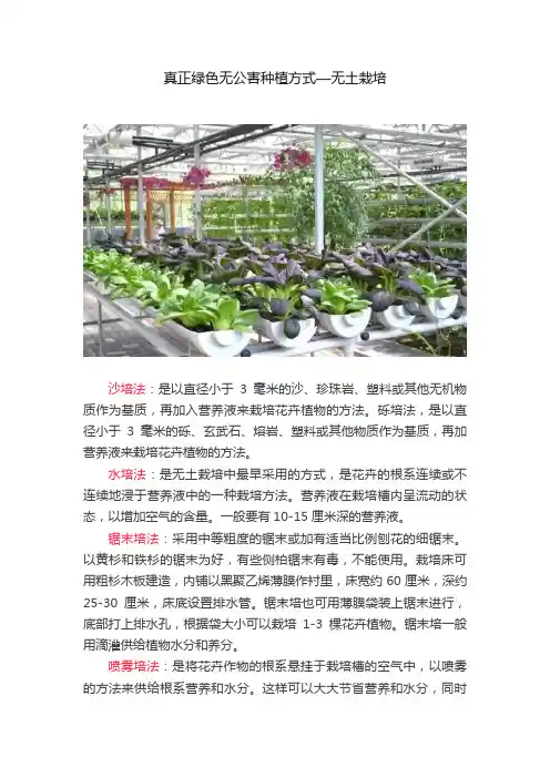 真正绿色无公害种植方式—无土栽培