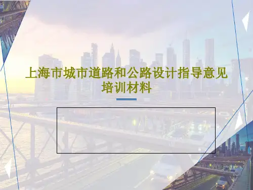 上海市城市道路和公路设计指导意见培训材料53页PPT