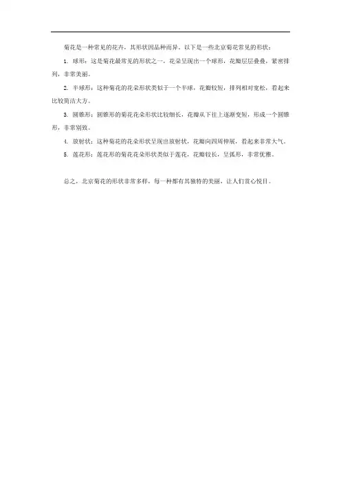 北京菊花的形状