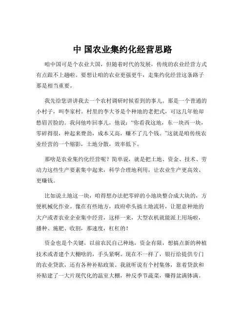 中 国农业集约化经营思路