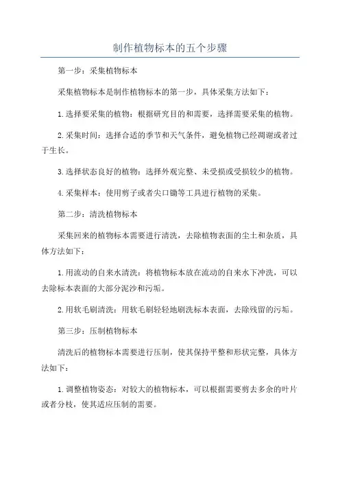 制作植物标本的五个步骤