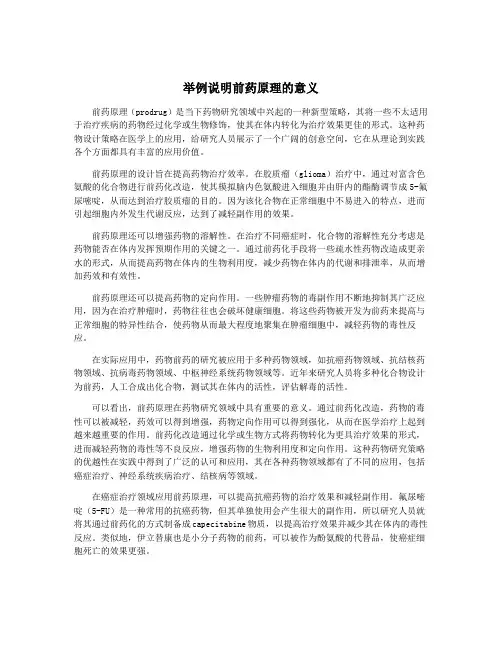举例说明前药原理的意义