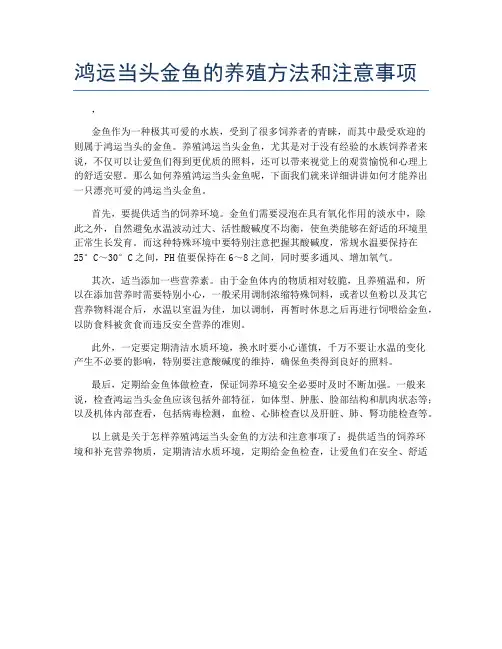 鸿运当头金鱼的养殖方法和注意事项