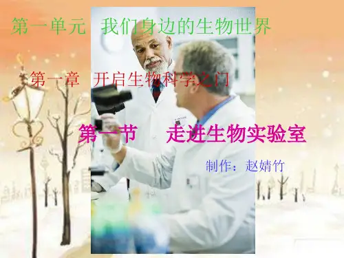初中生物  走进生物实验室1 冀教版精品课件