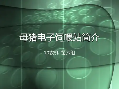 母猪电子饲喂站
