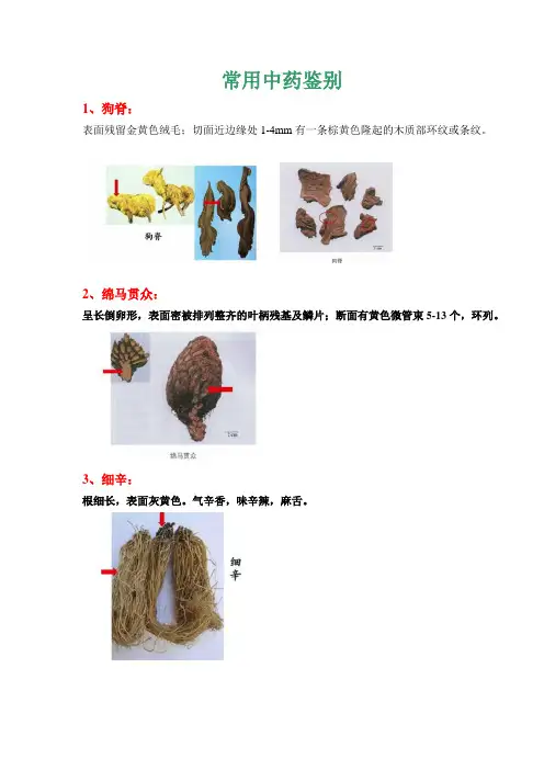 常用中药鉴别