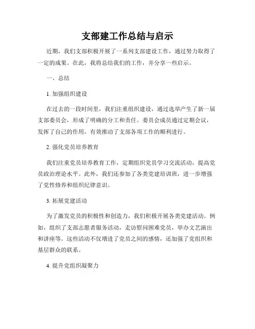 支部建工作总结与启示