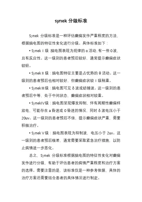 synek分级标准