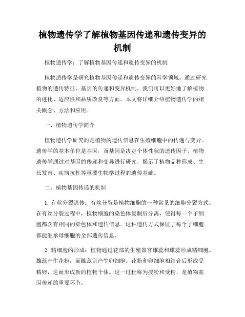 植物遗传学了解植物基因传递和遗传变异的机制