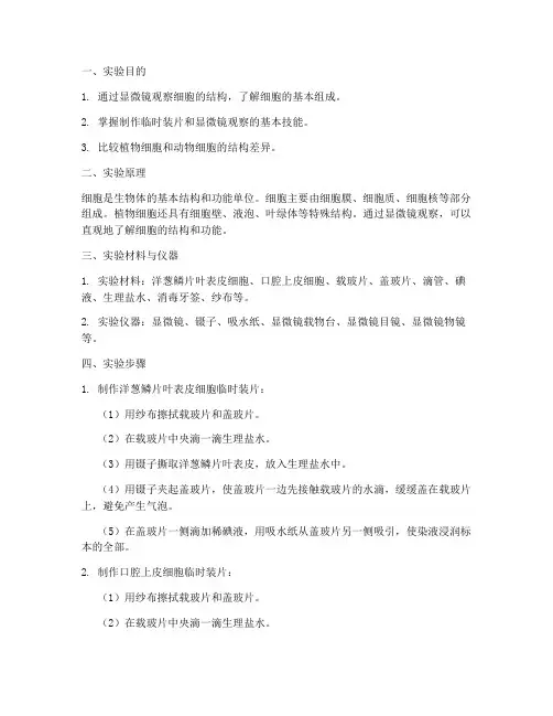 细胞结构的实验报告