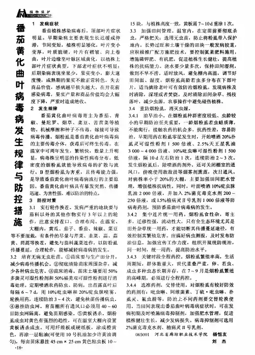 番茄黄化曲叶病毒病发生规律与防控措施
