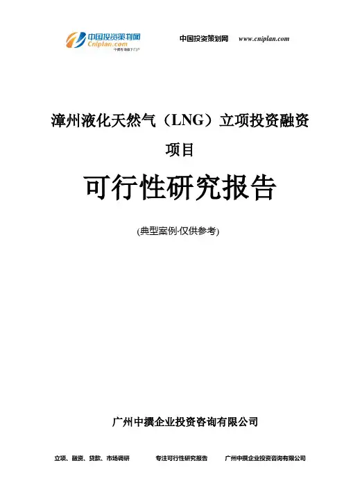 漳州液化天然气(LNG)融资投资立项项目可行性研究报告(中撰咨询)
