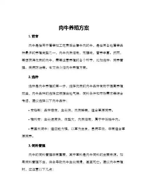 肉牛养殖方案