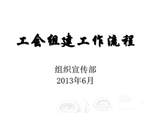 工会组建工作流程讲义.pptx