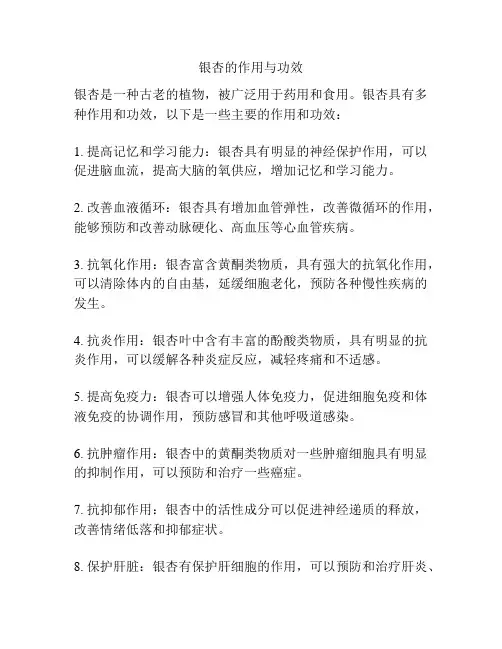 银杏的作用与功效