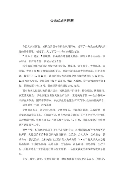 众志成城抗洪魔