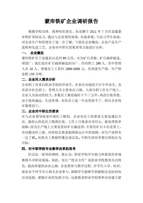 蒙库铁矿调研报告
