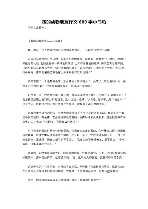我的动物朋友作文600字小乌龟