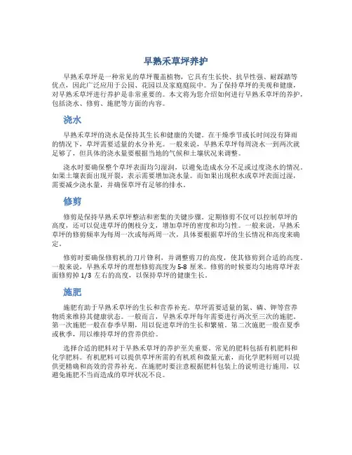 早熟禾草坪养护