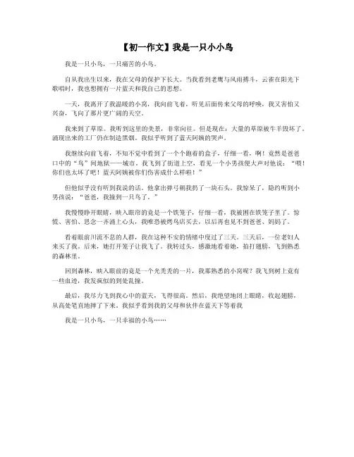 【初一作文】我是一只小小鸟